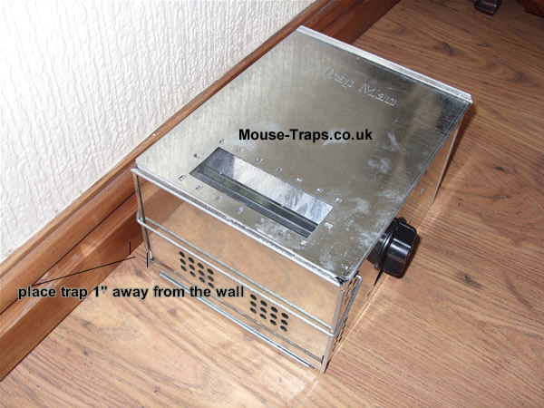 wind up mouse trap setting
